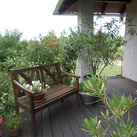 Holiday home Holiday In Balaton 31390