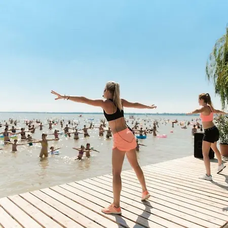 Holiday In Balaton 31390 Holiday home