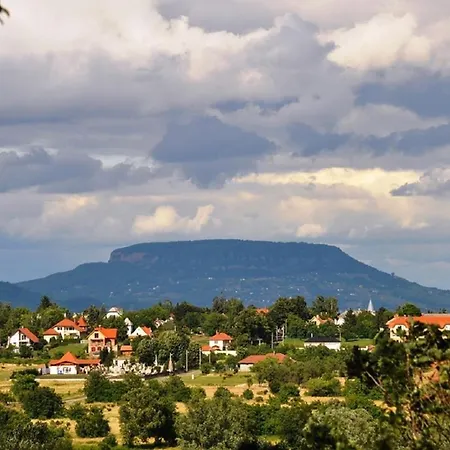 Holiday In Balaton 31390 Holiday home *